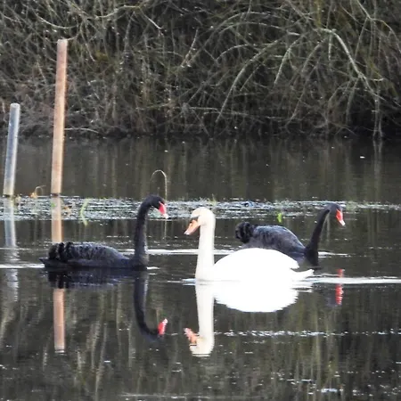 Anneks Ved Ostera 民宿