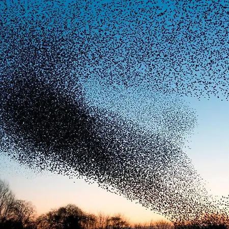 民宿 Anneks Ved Ostera