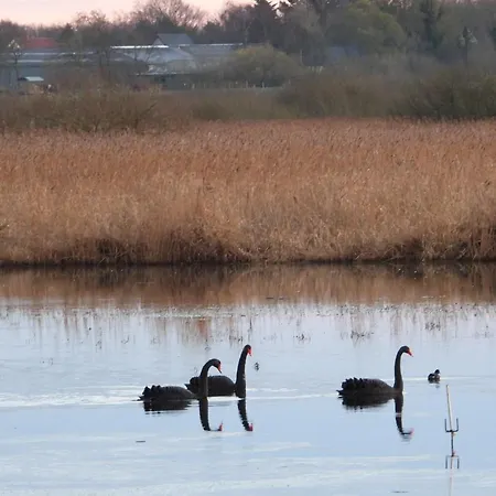 홈스테이 Anneks Ved Ostera *