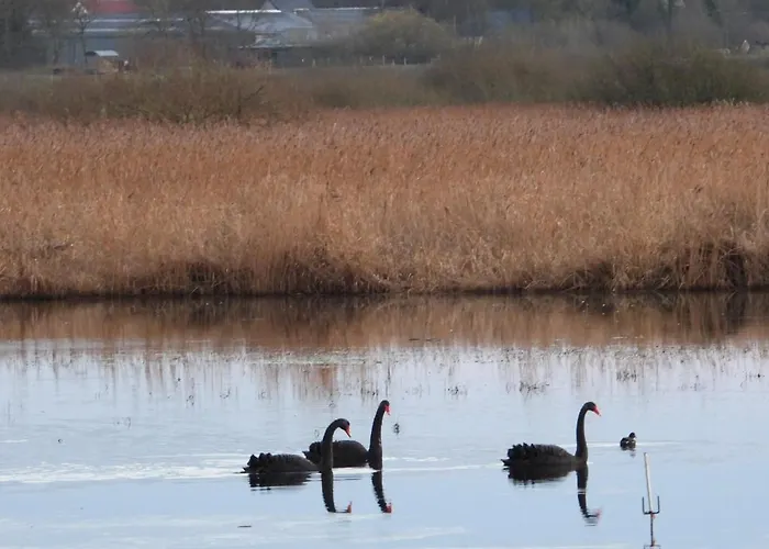 홈스테이 Anneks Ved Ostera *